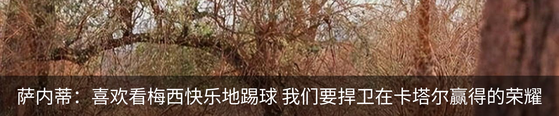 行业资讯